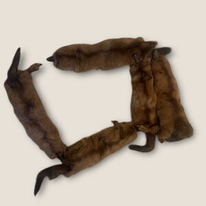 Vintage Real Fox Fur Stole Scarf Mid Century Novelty Animal Pelt Wrap